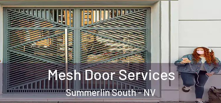 Mesh Door Services Summerlin South - NV